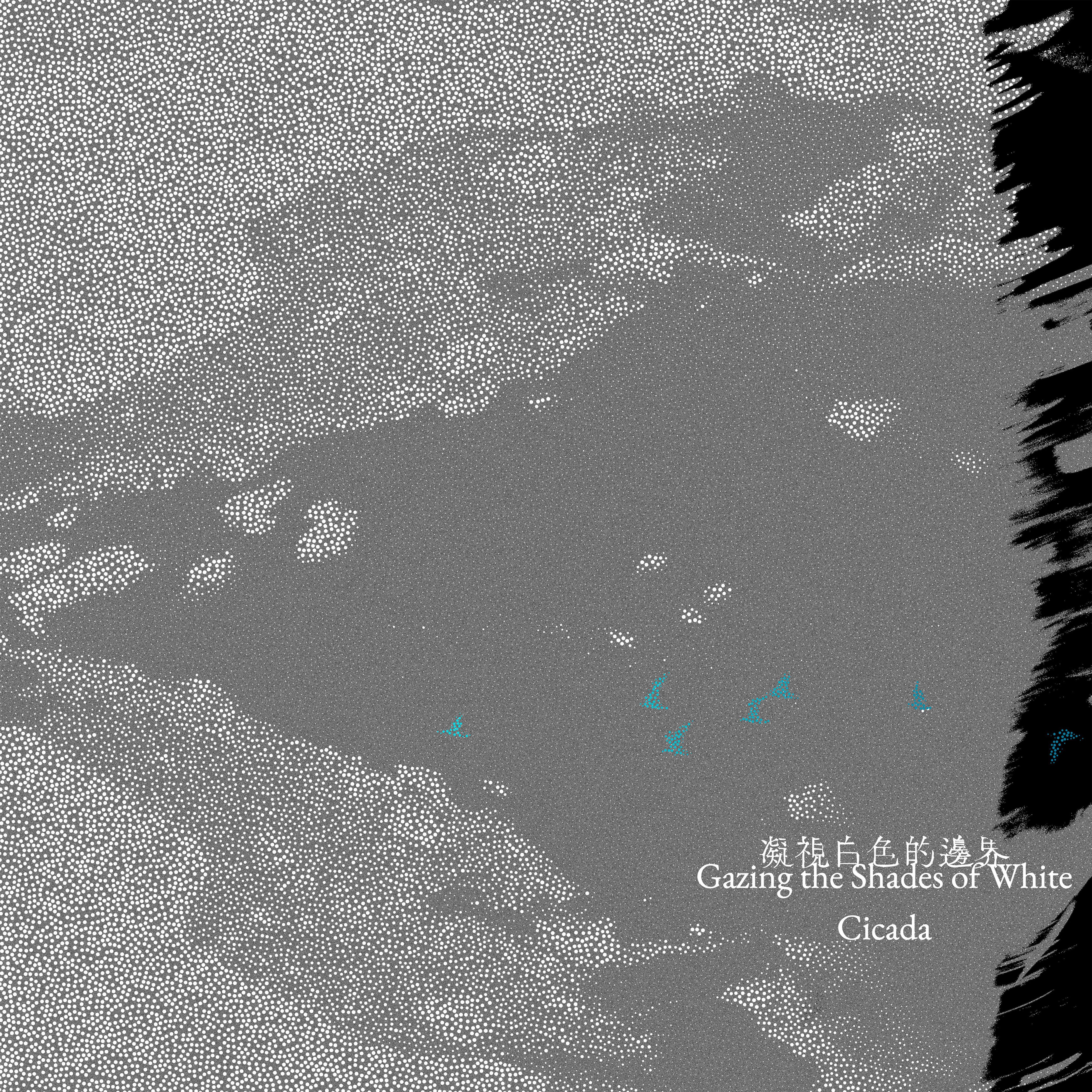 灰白颗粒海面与黑色笔触构成的 Cicada 专辑封面